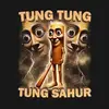 tungtdxpp2k