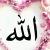 user56187125437075