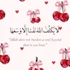 user434619562043