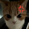 hyloo55