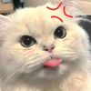 pon.siyean