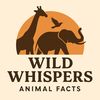 wild.whispers7