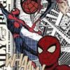 spiderman_7025