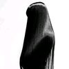 spreen_2038