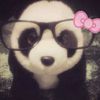_wwulannpie2