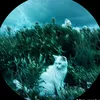 _djtmetiktok_2
