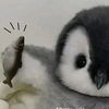 alikaa7552