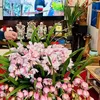 d.huy7627