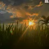 cng._.danh