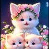 tharsi.tharsika84