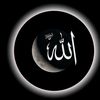user5090799226170