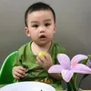 kim.hoa767