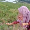 anisa