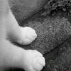 im.here8861