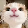 minivlogriana3