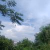 tz_puspita0