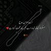 muhumad.hussain6