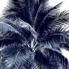 .sara680p