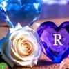 nur_rashi