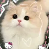 mc.cn.nng.tin.c