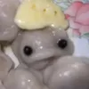 buxoy_pelmen1