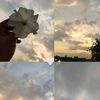 renia001_2