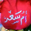 ummsaad__5