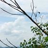 aul_ia0604