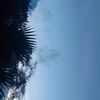 user3660242839181