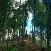 parnadong1
