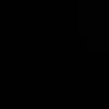 _robin.csy