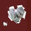 flopvaizz1