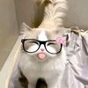 lvy...jie