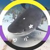 not_torchic