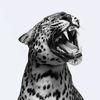 nafeesah_saal