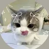 fabi_4267