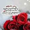 wafaamerck