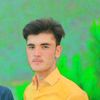 sherfawkha