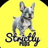 Strictlypups