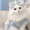 fyfifdhjnm5