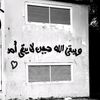 salmamahmoud25611