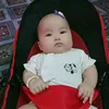 mi.mi81614
