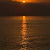 vse_mimot