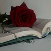 samirashemali126