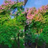 anhngc4629