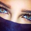 user81195960549917