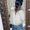 belzxy__