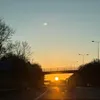 alicebarker43