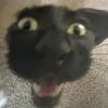 ursillycreator3