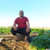 adem00767